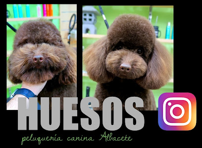 Peluqueria Canina Huesos - Servicios para mascota en Albacete