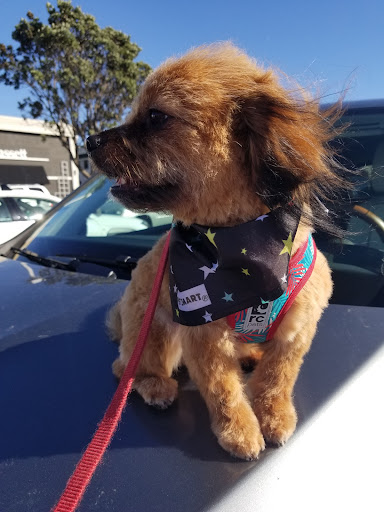 Pet Supply Store «PetSmart», reviews and photos, 315 Gellert Blvd, Daly City, CA 94015, USA