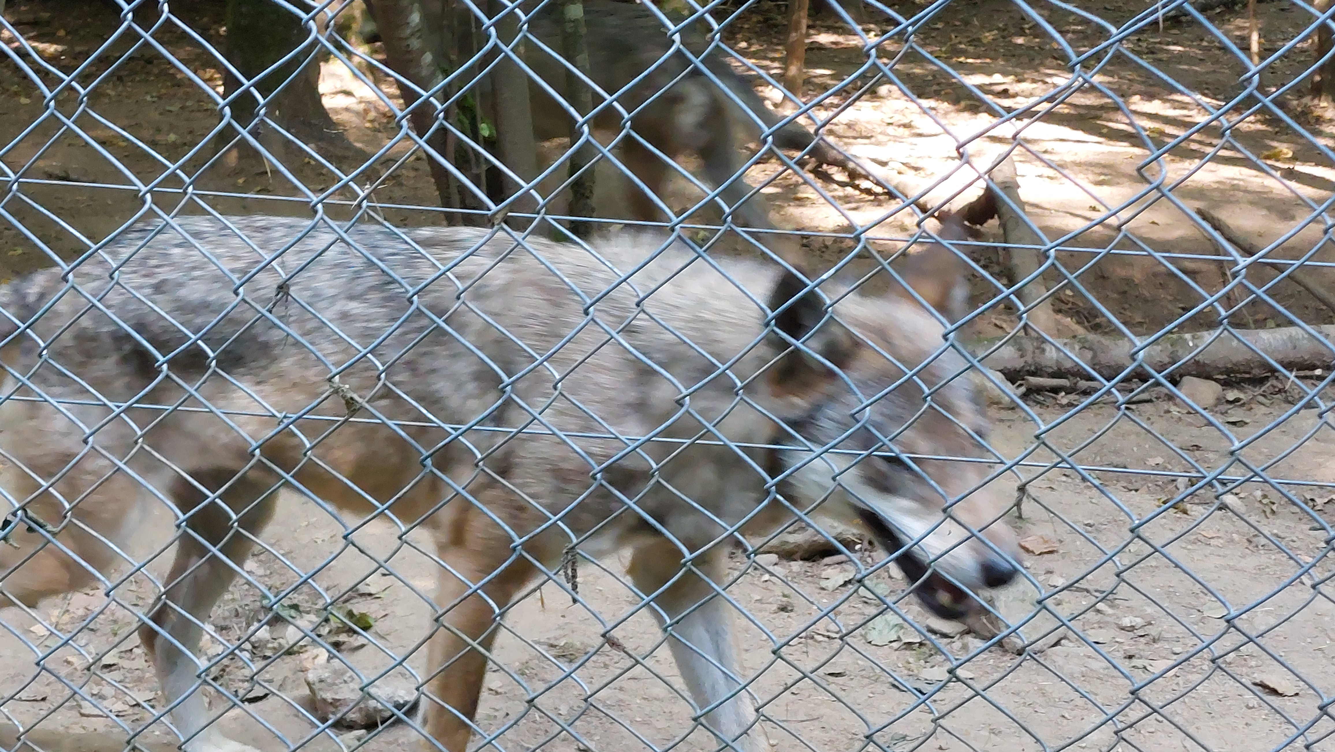 Photo n° 1 de l'avis de Stéphane.e fait le 14/08/2022 à 16:18