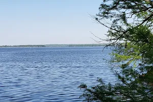 Reelfoot Lake Bluebank image
