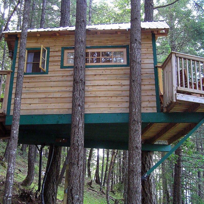 Vertical Horizons Treehouse Paradise