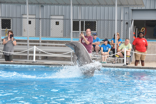Educational Institution «Institute For Marine Mammal Studies», reviews and photos, 10801 Dolphin Ln, Gulfport, MS 39503, USA