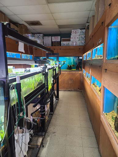 Pet Supply Store «Tropical World Pets», reviews and photos, 8444 Watson Rd, Webster Groves, MO 63119, USA