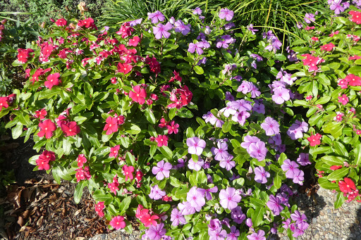 Park «Rose Larisa Park», reviews and photos, 701 Bullocks Point Ave, Riverside, RI 02915, USA