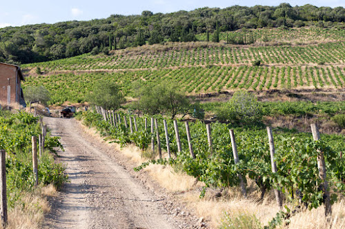 LANYE-BARRAC VitiFarm - Vins Bio, Biodynamique & Nature'l - La Nature coule dans nos vins à Murviel-lès-Béziers