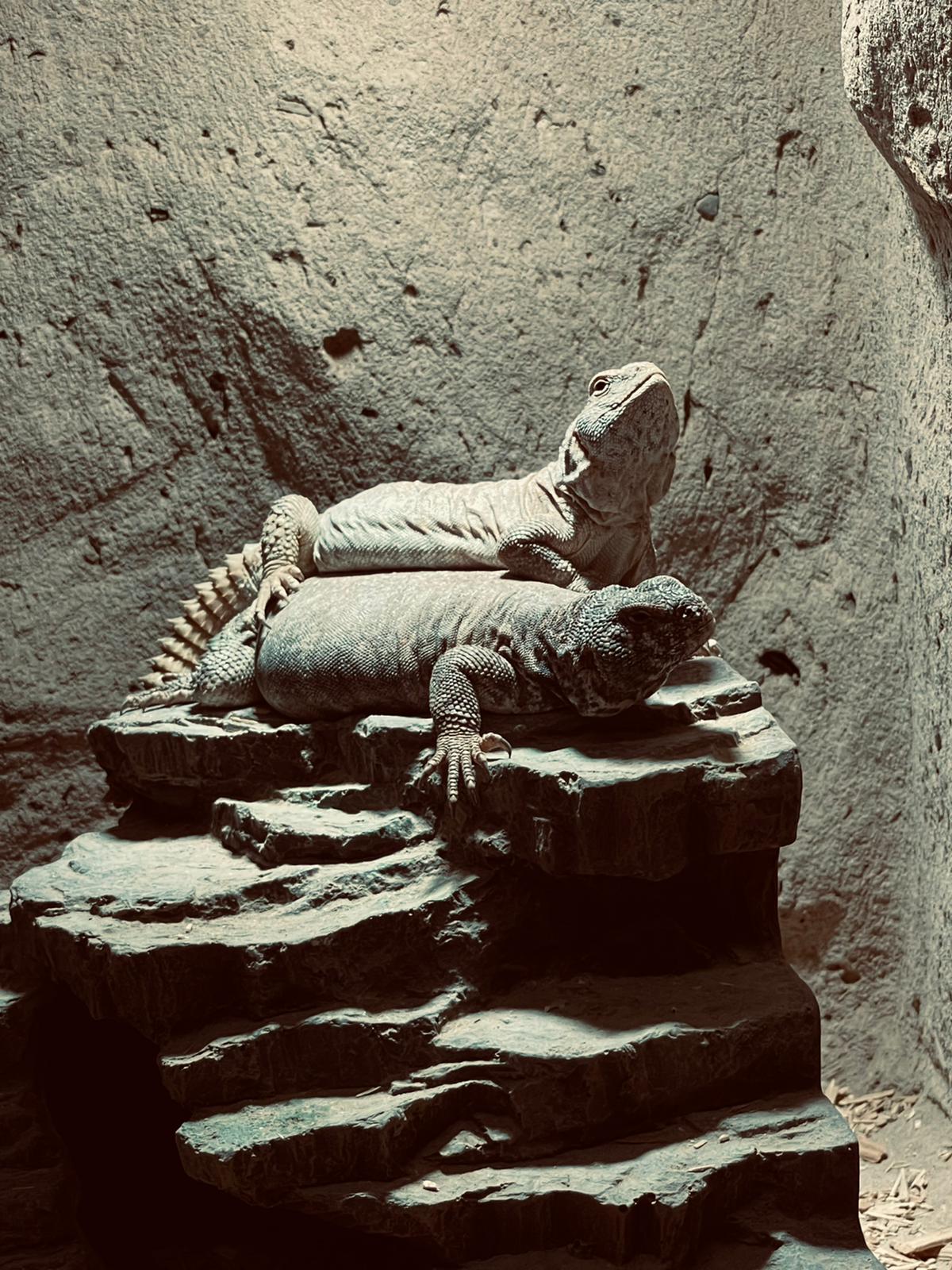 Photo n° 4 de l'avis de Marie.r fait le 11/06/2022 à 17:39