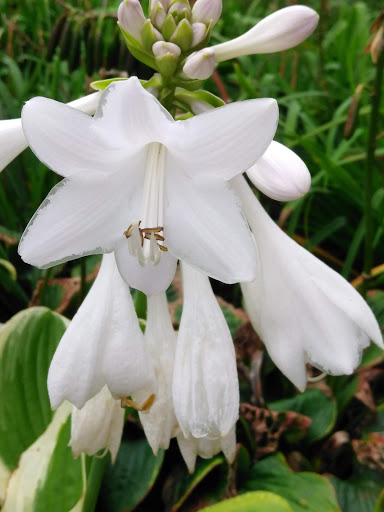 Home Improvement Store «The Home Depot», reviews and photos, 390 West St, Mansfield, MA 02048, USA