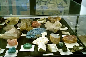 Museum of Paleontology image