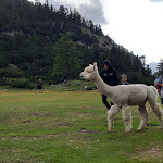 Photo n°3 de l'avis de Elisa.a fait le 26/08/2022 à 21:18 sur le  Scotoni Hütte à San Ciascian