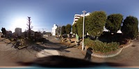 黄金の森公園
