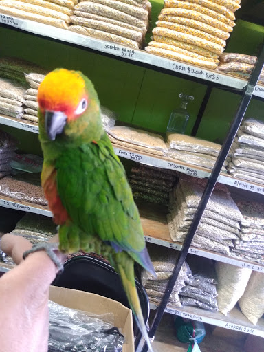 Pet Store «Inez Pet Shop», reviews and photos, 3825 Whittier Blvd, Los Angeles, CA 90023, USA