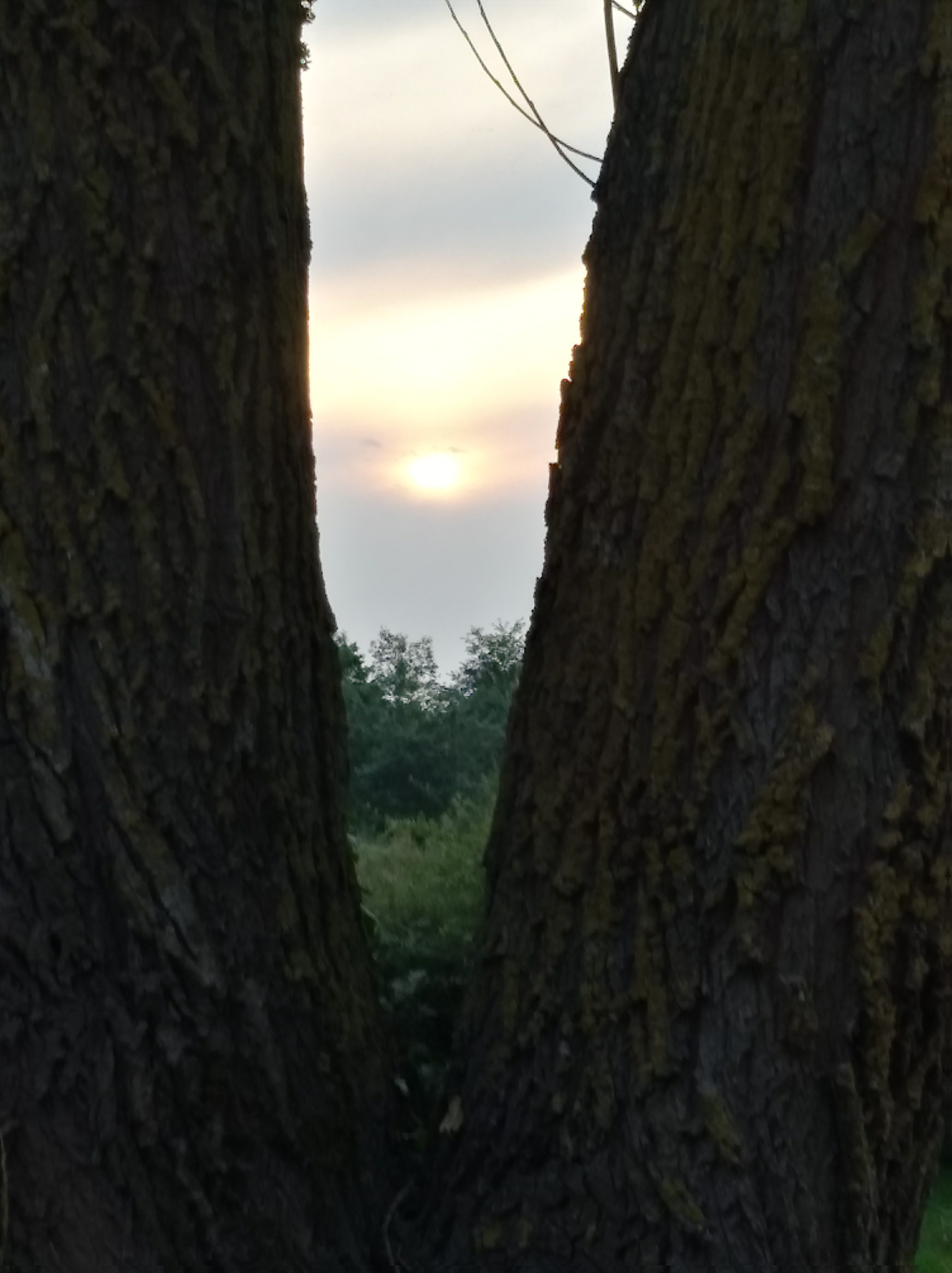 Photo n° 1 de l'avis de Hajer.o fait le 30/08/2017 à 20:21
