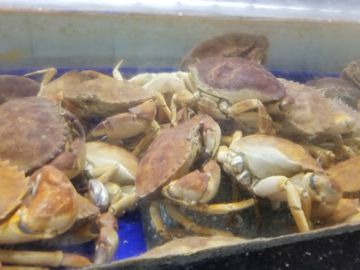 Supermarket «168 Market», reviews and photos, 933 E Las Tunas Dr, San Gabriel, CA 91776, USA