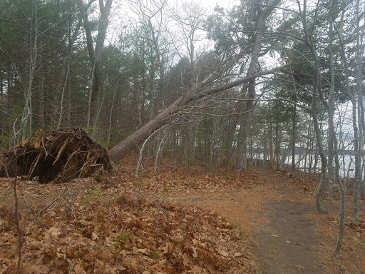 Nature Preserve «Littlejohn Island Preserve», reviews and photos, Pemasong Ln, Yarmouth, ME 04096, USA