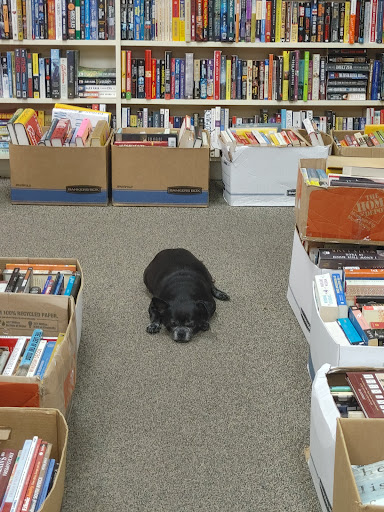 Book Store «Big Apple Books», reviews and photos, 5461 N Federal Hwy, Fort Lauderdale, FL 33308, USA