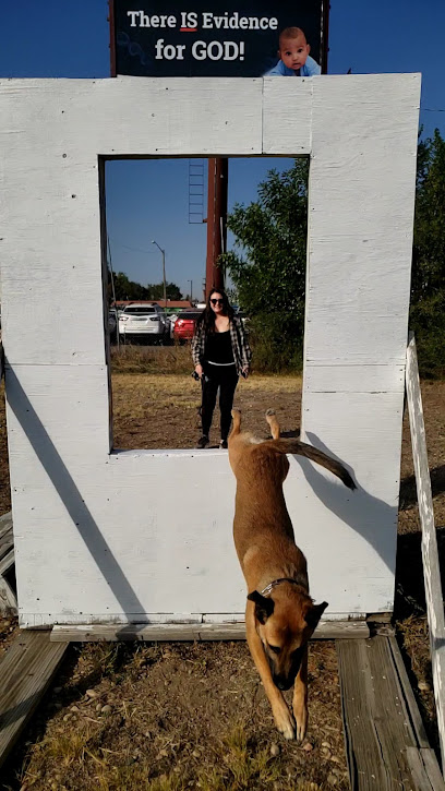 Colorado Canine Training