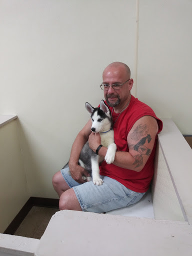 Pet Store «Park Avenue Birds & Pet Supply», reviews and photos, 120 W Center St, West Bridgewater, MA 02379, USA