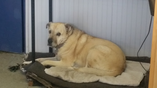 Auto Repair Shop «A-Tech Automotive Co», reviews and photos, 433 Boston Turnpike, Shrewsbury, MA 01545, USA