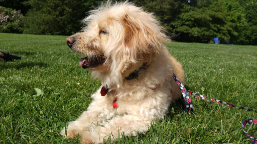 Park «Volunteer Park», reviews and photos, 1247 15th Ave E, Seattle, WA 98112, USA