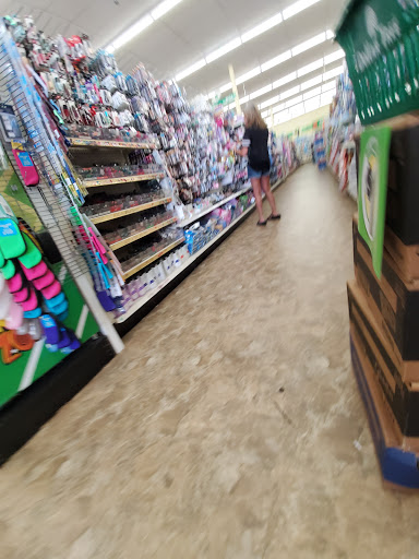 Dollar Store «Dollar Tree», reviews and photos, 100 Northeast Ave, North East, MD 21901, USA