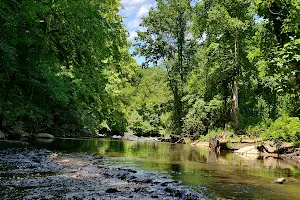 Picnic Grove #6 image