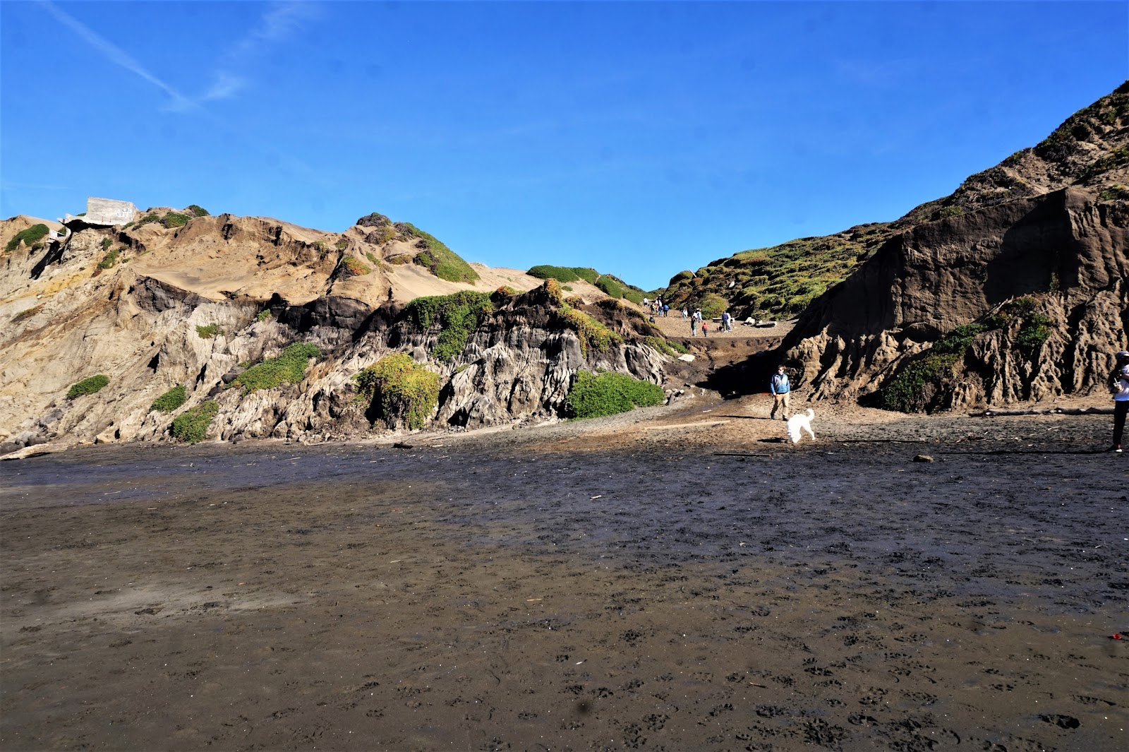 Foto af Funston Beach med høj niveau af renlighed