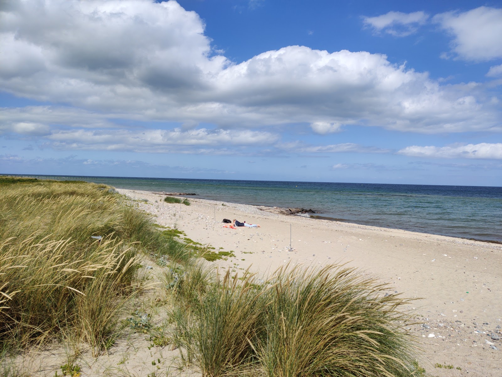 Photo de Behrensdorfer strand avec sable clair avec caillou de surface