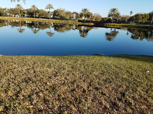 2645 Ulmerton Rd, Clearwater, FL 33762, USA