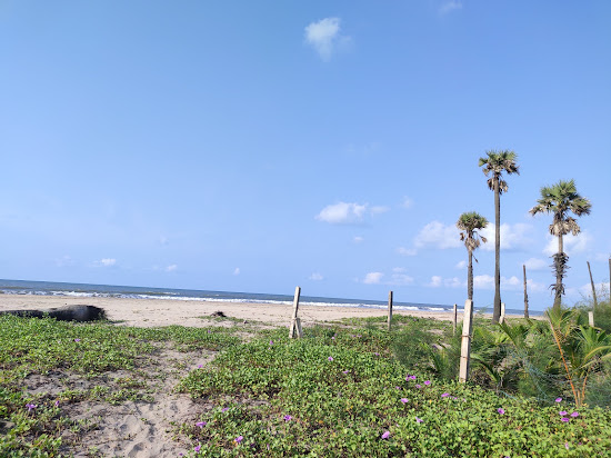Pedamaina vanilanka Beach