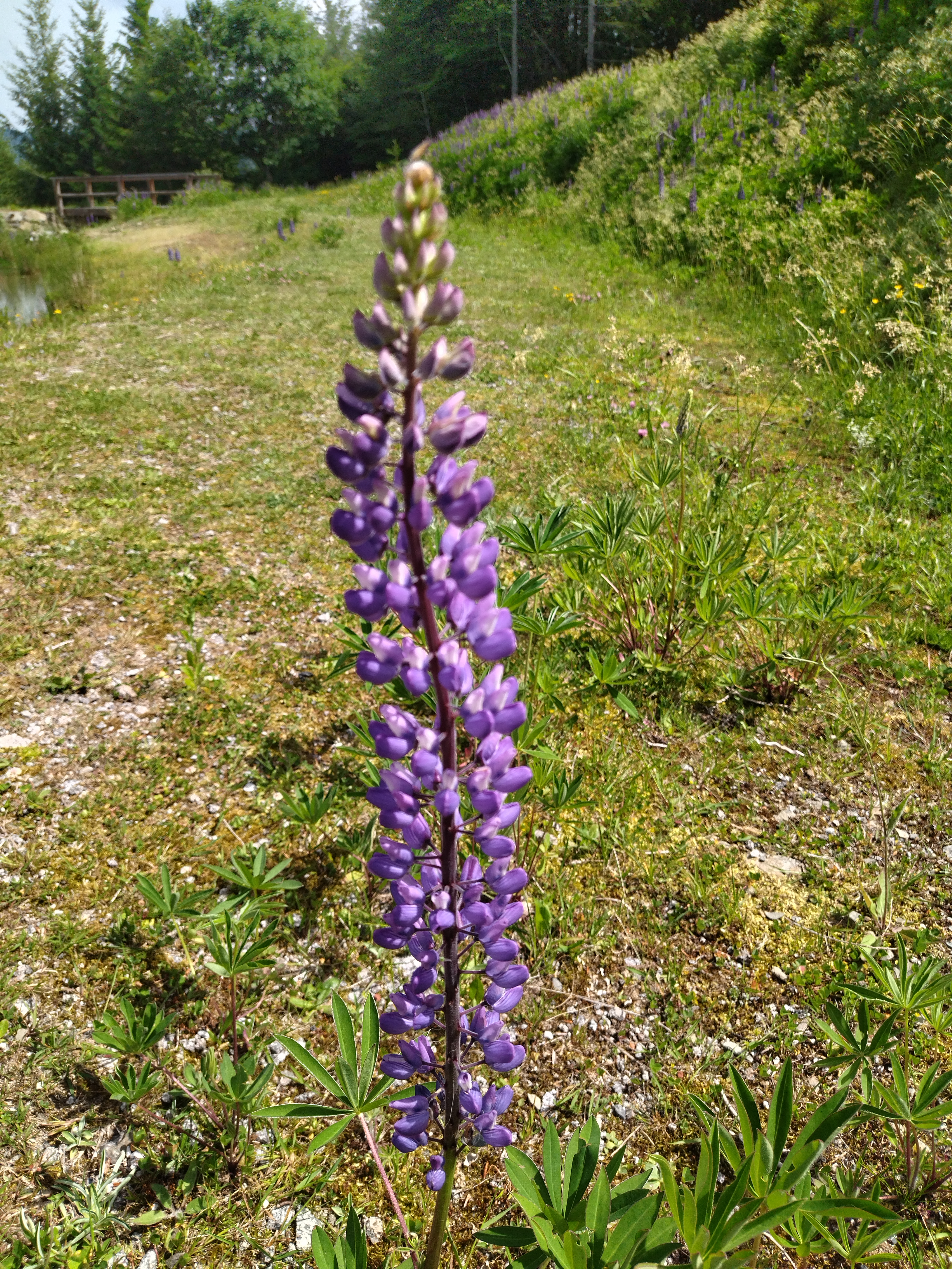 Photo n° 6 de l'avis de Sylvn. fait le 19/06/2021 à 14:24