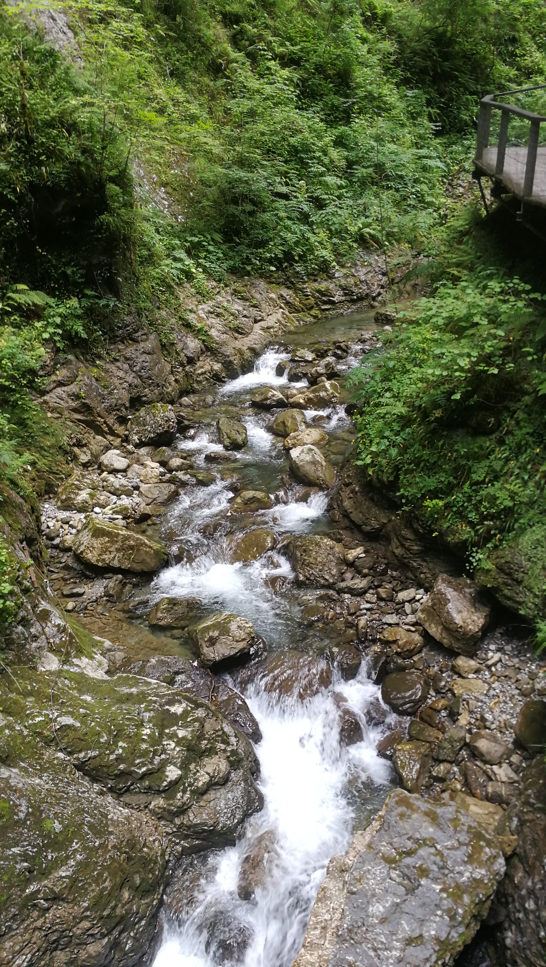 Photo n° 39 de l'avis de Corentin.t fait le 17/07/2019 à 21:16