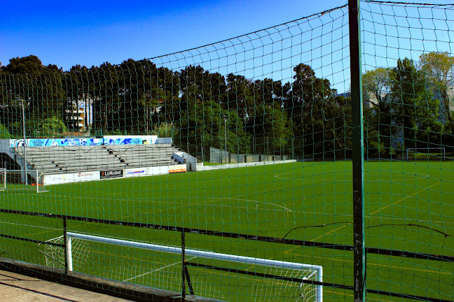 Avaliações doCampo da Ervilha em Porto - Campo de futebol