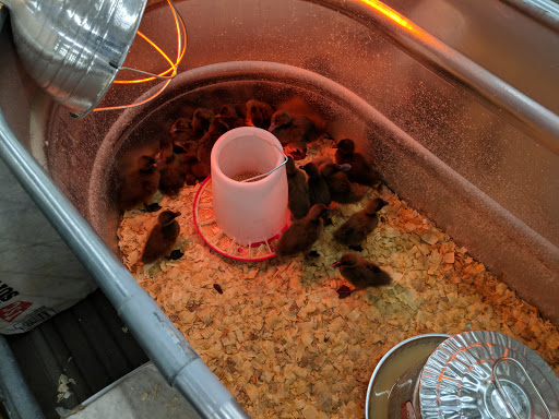 Home Improvement Store «Tractor Supply Co.», reviews and photos, 716 Mohawk St, Herkimer, NY 13350, USA