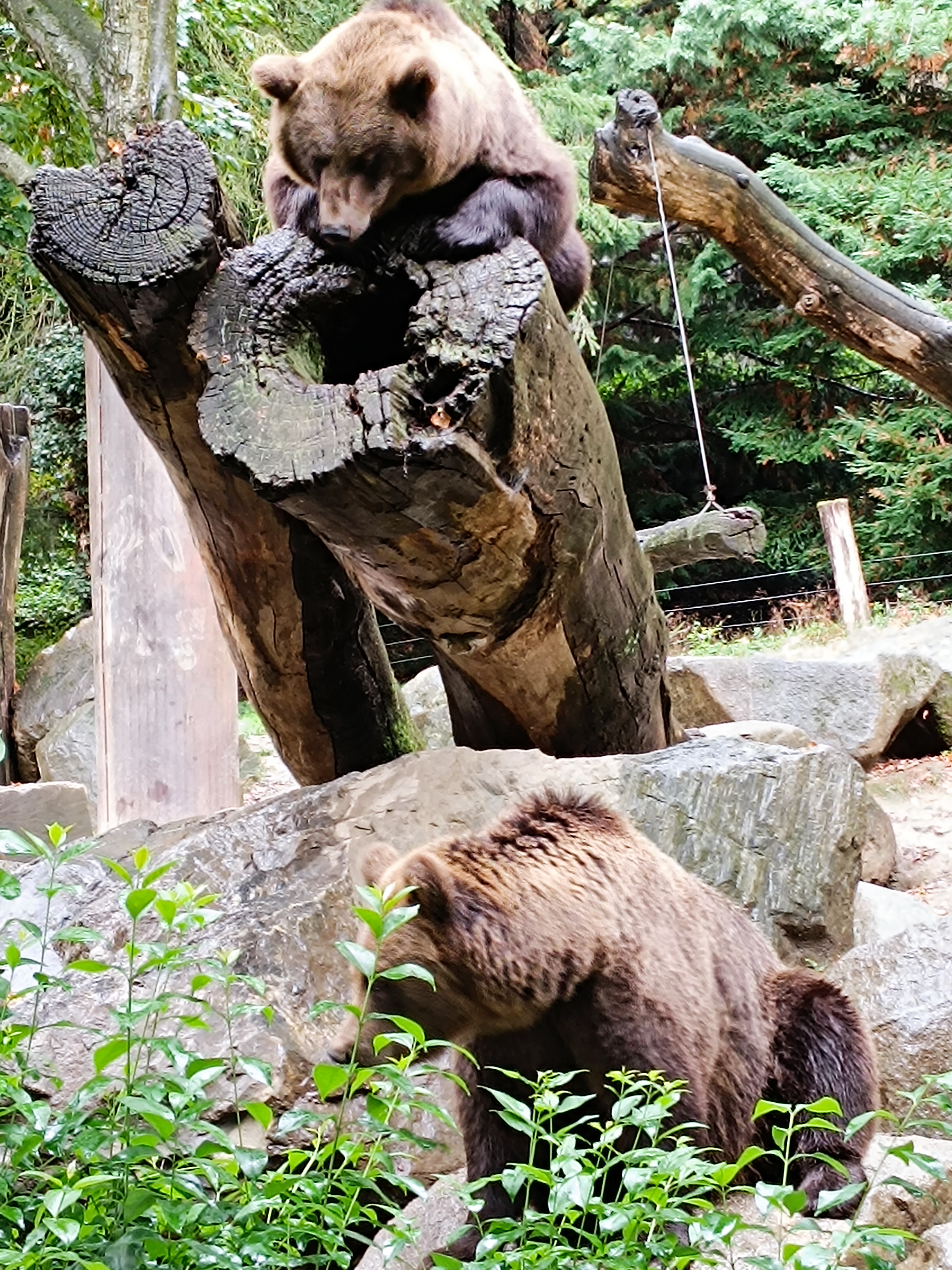 Photo n° 7 de l'avis de David.o fait le 10/09/2023 à 17:07