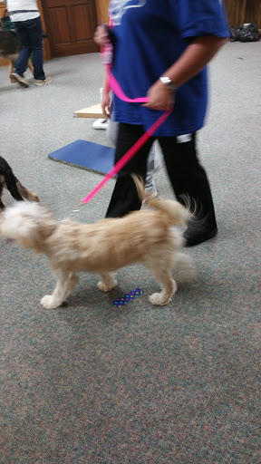 Pet Supply Store «All Pet & Equine Supply», reviews and photos, 1120 Porter Wagoner Blvd, West Plains, MO 65775, USA