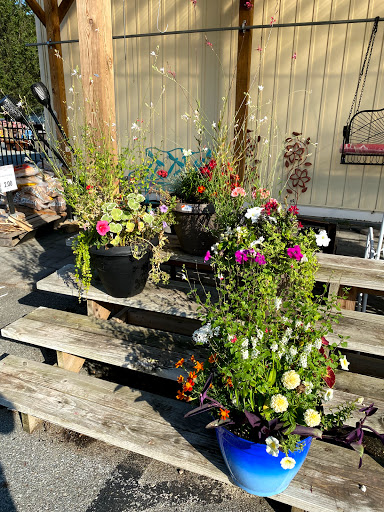 Garden Center «Stauffers of Kissel Hill Home & Garden Store», reviews and photos, 4450 Lincoln Hwy, York, PA 17406, USA