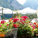 Photo n°1 de l'avis de Renzo.. fait le 28/09/2023 à 20:09 sur le  Des Amis Bionaz à Bionaz