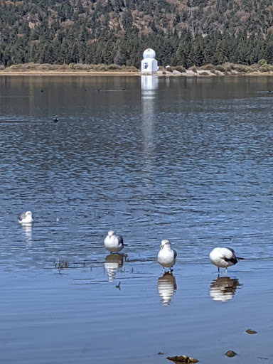 Big Bear Visitor Center - Visit Big Bear image