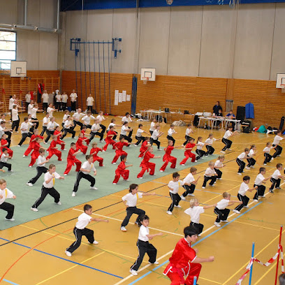 Wushu Akademie Schweiz