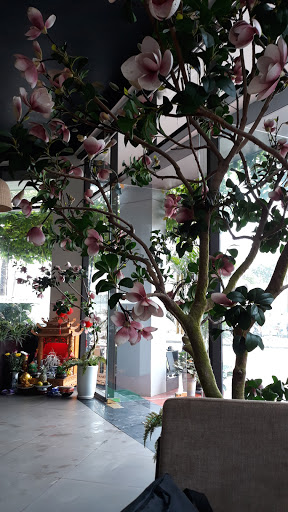 Top 20 cửa hàng cafe Huyện Lý Nhân Hà Nam 2022