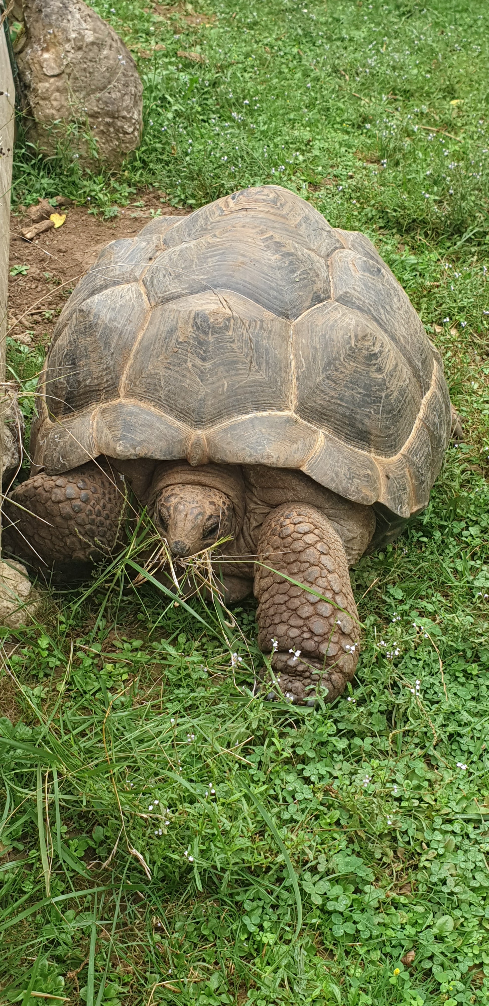 Photo n° 1 de l'avis de Solange. fait le 15/08/2021 à 14:15
