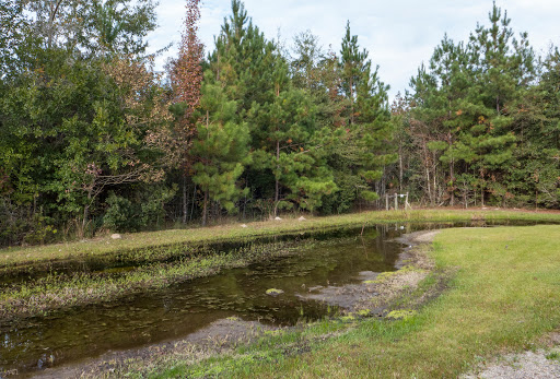 Observatory «LIGO Livingston», reviews and photos, 19100 Ligo Rd, Livingston, LA 70754, USA