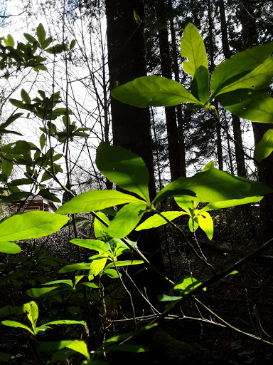 Park «Noble Woods Park», reviews and photos, 475 SE Century Blvd, Hillsboro, OR 97123, USA