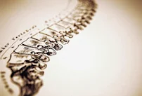 CARE Chiropractic - Car repair in San Jose, CA, Fremont - Rated 1.0/5