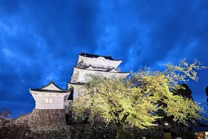 Odawara Castle Tower image