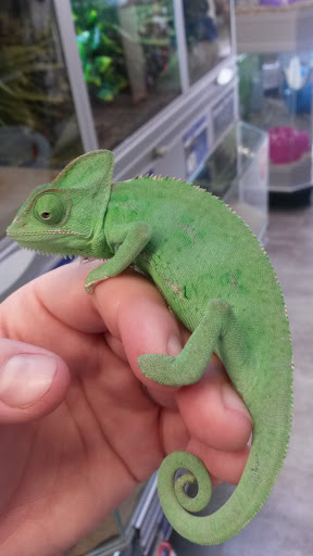 Pet Store «PetSmart», reviews and photos, 17150 Ventura Blvd, Encino, CA 91316, USA