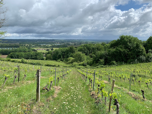 Vignobles Pueyo à Libourne