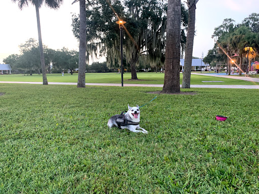 Supermarket «Publix Super Market at Columbia Promenade», reviews and photos, 1910 N John Young Pkwy, Kissimmee, FL 34741, USA