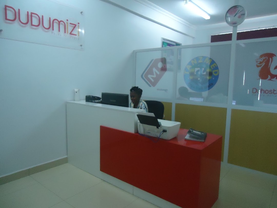 Dudumizi - Web Systems Development & Hosting Company in Tanzania