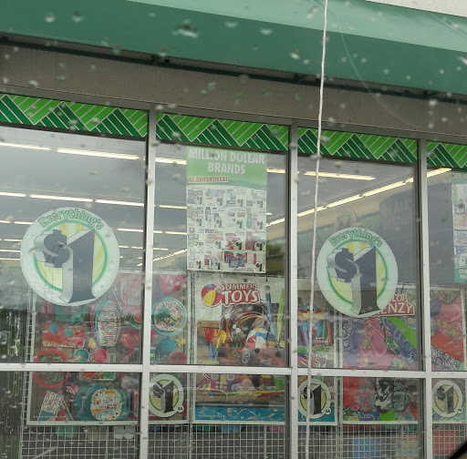 Dollar Store «Dollar Tree», reviews and photos, 1905 Valley Pine Cir, International Falls, MN 56649, USA